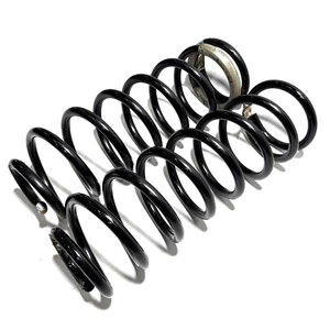📌 2013-2024 RAM 1500 REAR LEFT & RIGHT SIDE SUSPENSION COIL SPRING SET OF 2 OEM - Picture 1 of 10