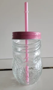CLEAR GLASS OWL STYLE MASON JAR WITH PINK LID AND STRAW 5.25 INCH HOLDS 14 OZS - Picture 1 of 9