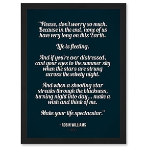 Quote Robin Williams Don't Worry Life is Spectacular A4 Framed Wall Art Print - Bild 1 von 21