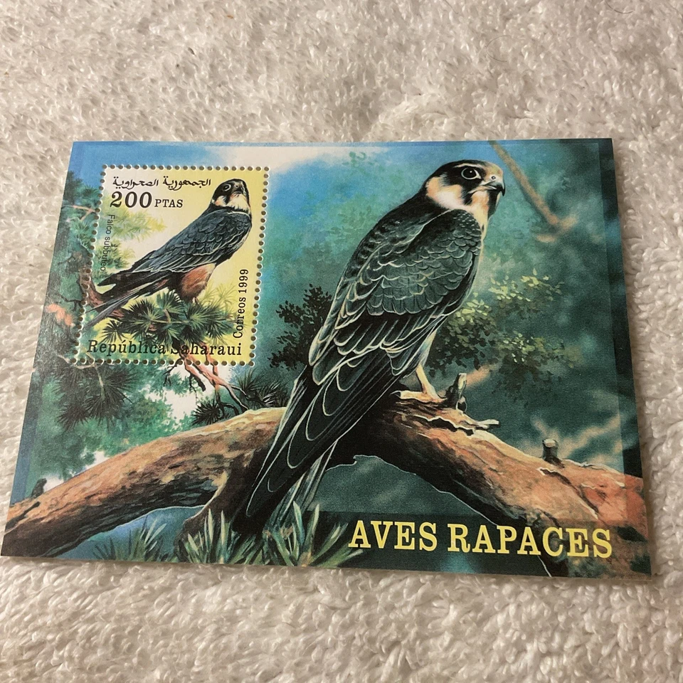 撒哈拉,西班牙语 -(-1999 -)-鸟,AVES RAPACES-SOUVENIR SHEET-MNH-SS#01 — 第 1/1 张图片