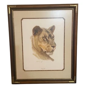 Impresión artística enmarcada firmada por Guy Coheleach cabeza de leona vida silvestre animal museo de África - Imagen 1 de 12