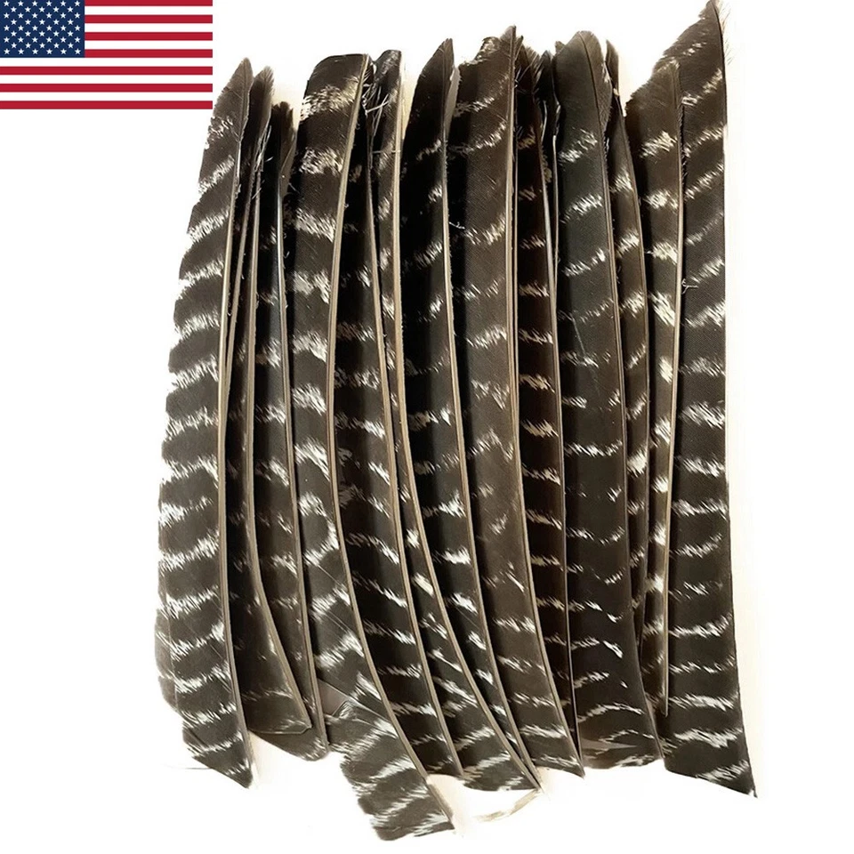 50X Plumas de flecha de longitud completa Flechas Pavo Fletching Shaft Hágalo usted mismo Tiro con arco RW LW Foto 1 de 4