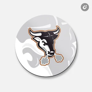 Durham Bulls Bull Head Animal | 4'' X 4'' Round Decorative Magnet - Picture 1 of 2