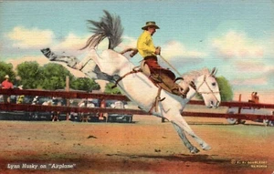 POSTCARD RODEO SADDLE BRONC "LYNN HUSKY ON AIRPLANE" - 1909 - Picture 1 of 2