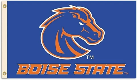 BSI NCAA College Boise State Broncos 3 X 5 Foot Flag with Grommets Cover