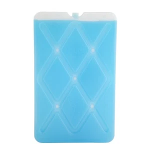 Esky Large Flat Ice Cooler Brick 320mm x 160mm x 200mm - Picture 1 of 1