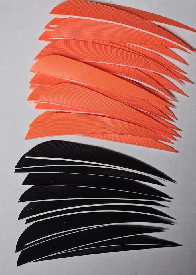 PLUMAS PARABÓLICAS 4" RW 12 NEGRAS Y 24 NARANJAS Foto 1 de 1