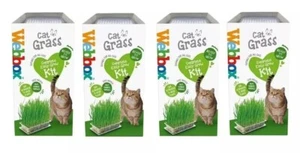 4 X Cat Grass Kit for Indoor Webbox Grass Complete Easy Grow Plant Tote -120G - Picture 1 of 7