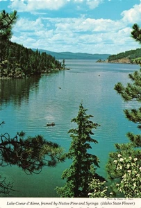 Postcard Idaho Lake Coeur d'Alene 1982 - Picture 1 of 2