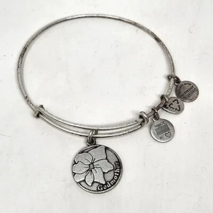 ALEX and ANI Godmother Bangle Bracelet Silver Tone - Picture 1 of 8