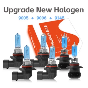 QUAYUB Canbus 9005 9006 9145 Headlight Fog Light Bulbs High&Low Beam Halogen KIT - Picture 1 of 15