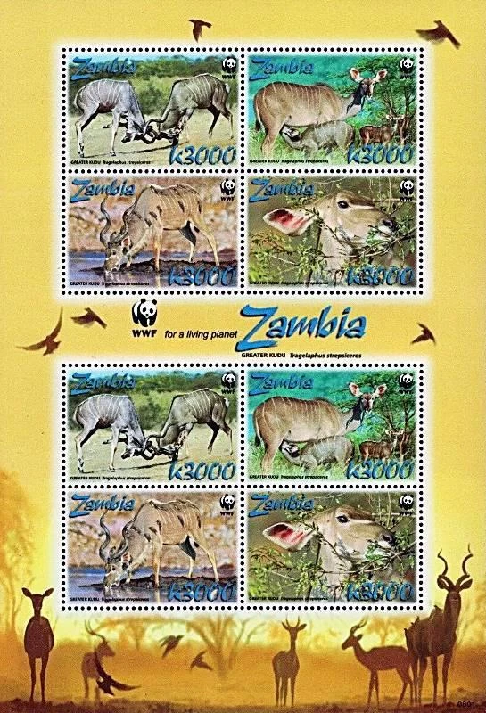ZAMBIA 2008 WWF/ANIMALS M/S (folded) SC#1103e mnh ** ANTELOPES 💲FREE SHIPPING💲 - Image 1 of 1