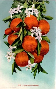 California Oranges Postcard - Picture 1 of 2