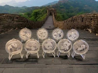 Lote/ 9 hermosos pandas chinos de plata de 10 yuanes - 30 gramos de plata .999 - en cápsula Foto 1 de 4