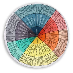 Wheel of Emotions Feelings Pillow Round Throw Circle Seating Floor Cushion Co... - Picture 1 of 6