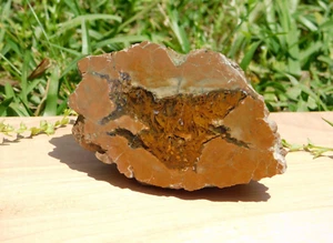 Thunderegg from Oregon 158g Energy Healing Meditation Display Roadrunner Spirit - Picture 1 of 10