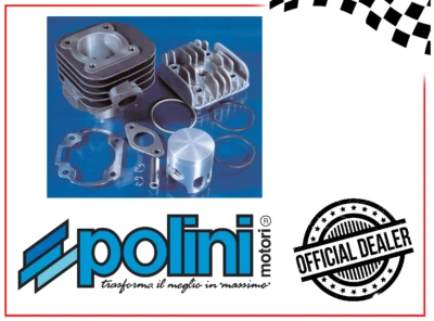 166.0076 GRUPPO TERMICO POLINI 75CC D.47 MINARELLI ORIZZONTALE AC ARIA SP.10