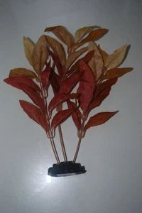 Aquarium Altrimanthra Reincki Silk Plant Reddish Brown & Beige 13 cms - Picture 1 of 1