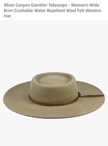Silver Canyon Women’s Gambler Telescope Wool Felt Wide Brim Western Hat LARGE - Picture 1 of 7