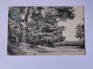 CPA 77 Forêt de FONTAINEBLEAU - Belvédère de Némorosa - Imagen 1 de 2