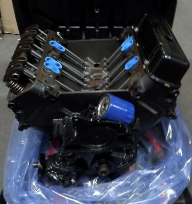 Bloque largo motor GM 25514292 3,0 L V6 1982-1985 Buick Century 25513445 cabezal Foto 1 de 4