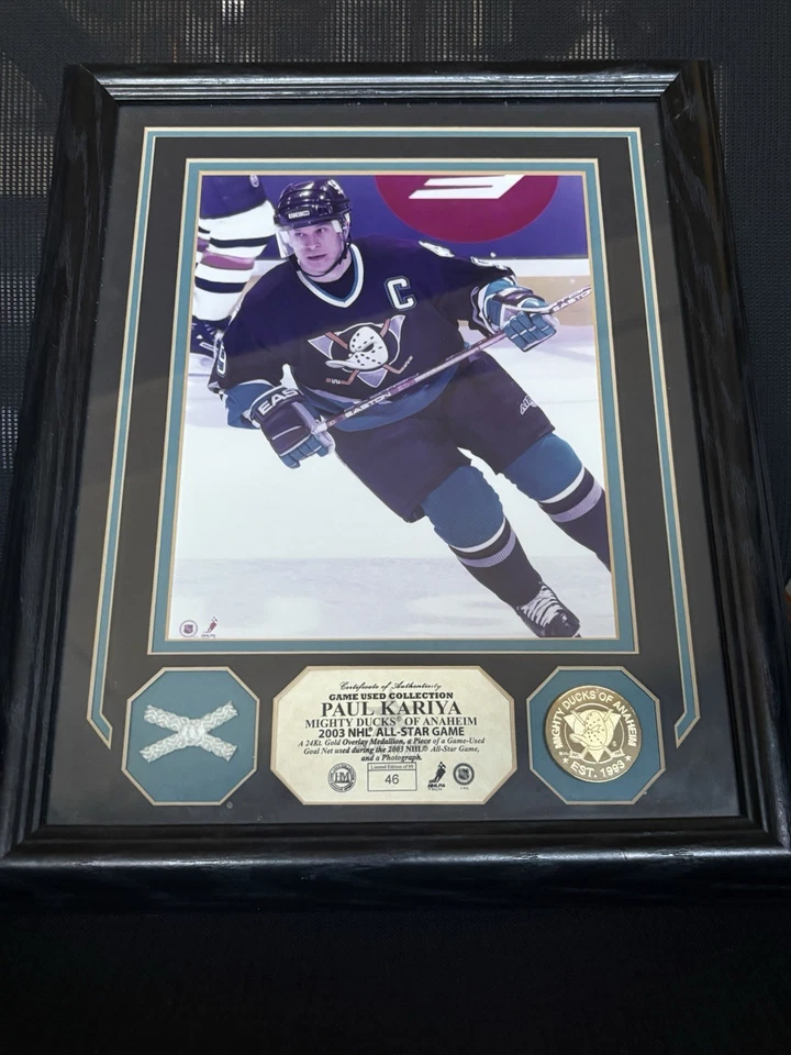 Paul Kariya Anaheim Mighty Ducks Framed Photo & Game Used Net FREE SHIPPING - Image 1 of 4