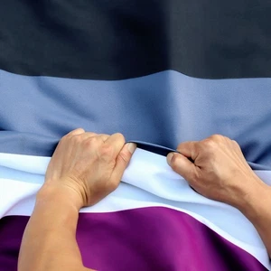 Rip-Proof Technology Double Sided 3-Ply Asexual Pride Flag 3x5 Foot Rainbow Flag - Picture 1 of 7