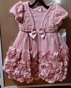 Nanette Baby Girls Infant Baby Pink Rosette Dress No Bloomers Size 6-9 Months - Picture 1 of 6