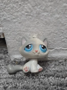 Littlest Pet Shop 2004 Hasbro #53 Gray White Tabby Cat, Kitty Kitten  Y2K LPS - Picture 1 of 5