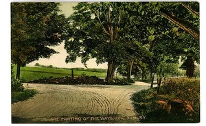 Pine Bush NY - THE PARTING OF THE WAYS-FORK IN ROAD- Postcard - Picture 1 of 1