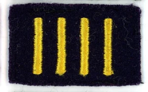 HUDSON SQUADRON PATCH 4th YEAR CADET ROYAL MILITARY COLLEGE CANADA COLLAR BADGE - Bild 1 von 1
