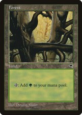 Forest (D) Tempest NM Basic Land MAGIC THE GATHERING MTG CARD ABUGames