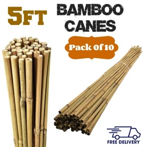Bastones de bambú profesionales para plantas de bambú de 5 pies - Imagen 1 de 4