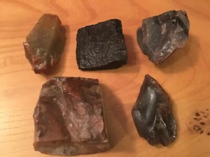 Petrified Wood, Lot of 5 - Picture 1 of 3