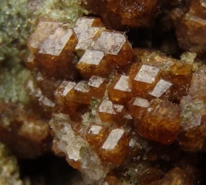 GARNET - GROSSULAR crystals & DIOPSIDE - NORWAY Nordland - Vefsn - Toven /pk530 - Picture 1 of 19