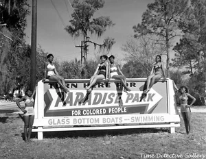 Swimsuit Beauties at Paradise Park, Silver Spngs, Florida - Vintage Photo Print - Picture 1 of 1