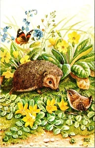 Cartolina Woodland Gossips Hedgehog Racey aiuta la Società Medici Londra - Foto 1 di 2