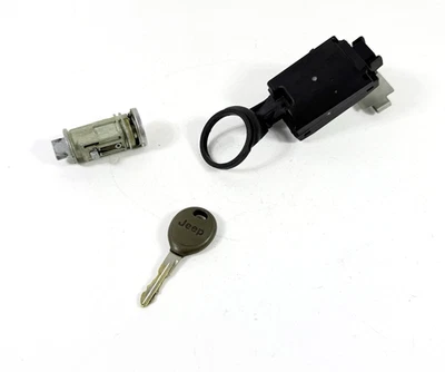 2002-2003 Jeep Liberty иммобилайзер SKREEM трансивер OEM P56010209AC с VIN - Изображение 1 из 4