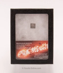 Muonionalusta Meteorite - Picture 1 of 1