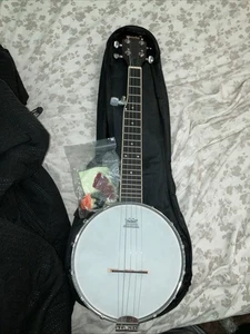 REMO Weatherking Banjo - Picture 1 of 1