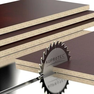 21mm Siebdruckplatte Zuschnitt Multiplex Birke Bodenplatte wasserfest 98,61 €/m² - Bild 1 von 5