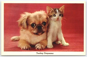 Postcard Trusting Companions Tibetan Spaniel Puppy Tabby Kitten CK 405 UNP - Picture 1 of 2