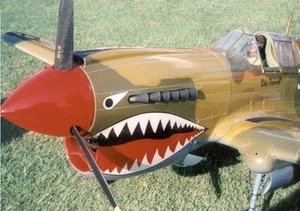 1/4 Maßstab Zweiter Weltkrieg P40 Warhawk 94 Zoll Riesenmaßstab Digital PDF Pläne auf CD - Bild 1 von 7