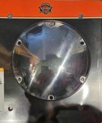 2013 Harley-Davidson 铁杆 883 XL883n Chrom 德比保护套 — 第 1/2 张图片