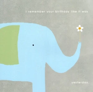 Happy Belated Late Birthday Elephant Elephants Never Forget Hallmark Card - Picture 1 of 3