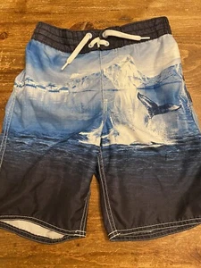 Boys Swim Trunks, Old Navy Size 8, Whale Swim Shorts GUC lined scent Free - Picture 1 of 10