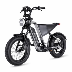 GUNAI-Y 1000W 48V18AH doble suspensión Freno de Disco Hidráulico ebike Adulto - Bild 1 von 10