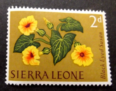 Sierra Leone-1963-2d Black Eyed Susan Flower-MH Good gum - Image 1 of 2