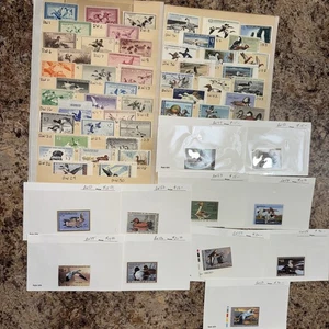 Federal Duck Stamp Collections (RW1-RW59) M/NH/OG CV=$6180! - New Price! - Picture 1 of 12