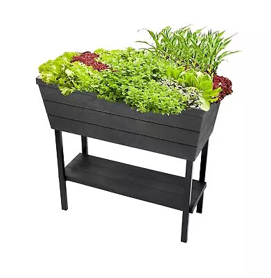 Keter Urban Bloomer 12.7 Gallon Raised Garden Bed with Self Watering Planter ... - Image 1 of 4